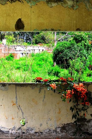 The scars of Ituri's war are still ever-present. Photo credit: Peter Dixon